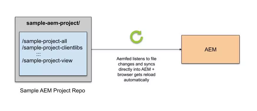 AEMFED-flow.jpg